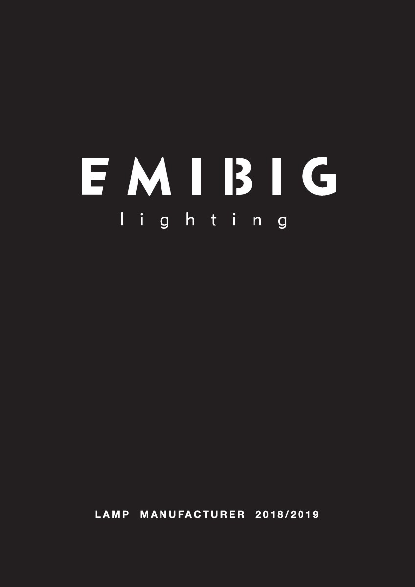 emibig 2018-2019