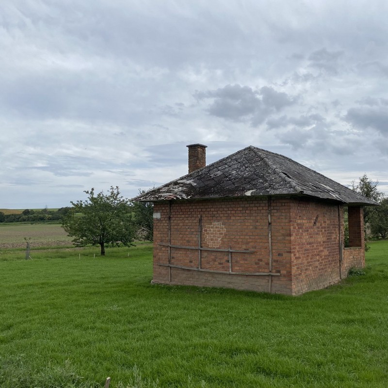 Obrázek