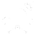 ikona