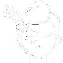 ikona