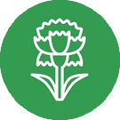 Ekologická likvidace plevelů