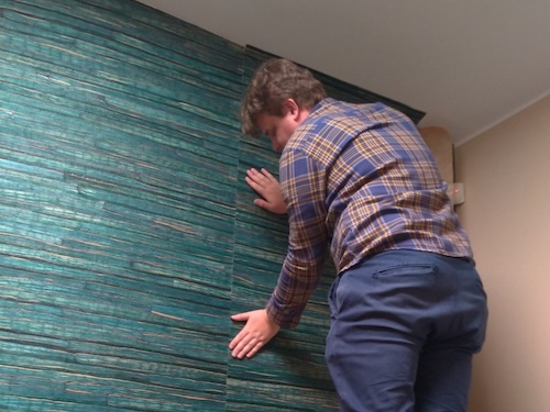 tapetování lester brno