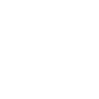 Ikona
