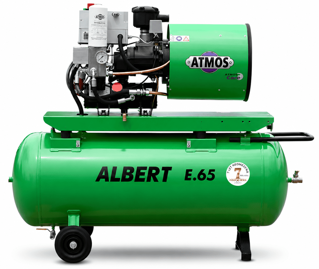 Albert E.65