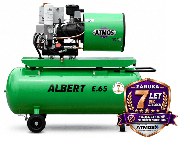Albert E.65