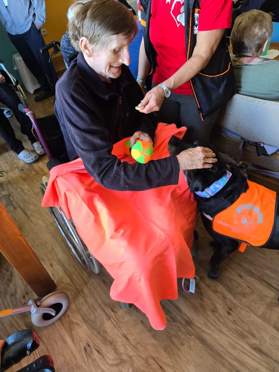 navšta cannisterapeuta